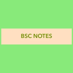 BSC NOTES 图标